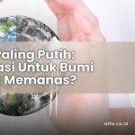 Cat-Paling-Putih-Inovasi-Untuk-Bumi-yang-Memanas-affa